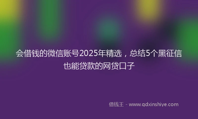 会借钱的微信账号2025年精选,总结5个黑征信也能贷款的网贷口子