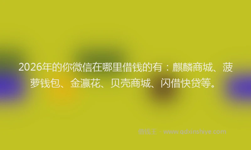 2026年的你微信在哪里借钱的有：麒麟商城、菠萝钱包、金瀛花、贝壳商城、闪借快贷等。