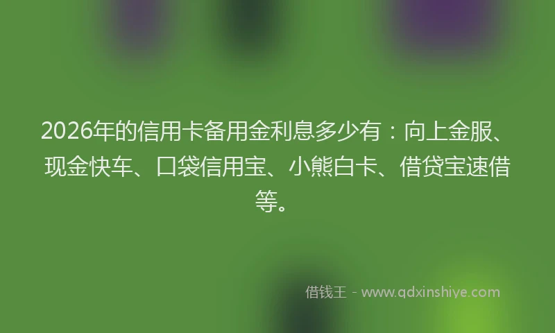 2026年的信用卡备用金利息多少有：向上金服、现金快车、口袋信用宝、小熊白卡、借贷宝速借等。