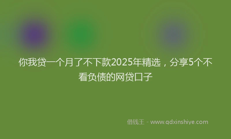 你我贷一个月了不下款2025年精选，分享5个不看负债的网贷口子