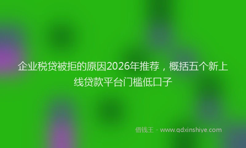 企业税贷被拒的原因2026年推荐，概括五个新上线贷款平台门槛低口子