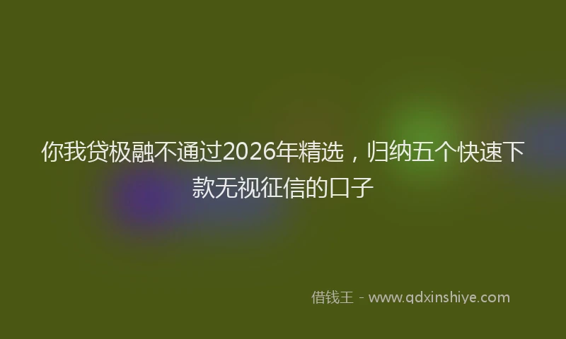 你我贷极融不通过2026年精选，归纳五个快速下款无视征信的口子