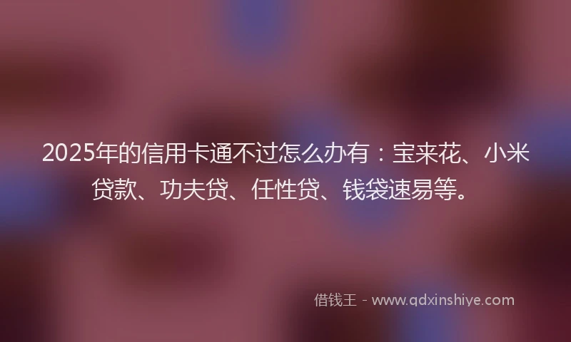 2025年的信用卡通不过怎么办有:宝来花、小米贷款、功夫贷、任性贷、钱袋速易等。