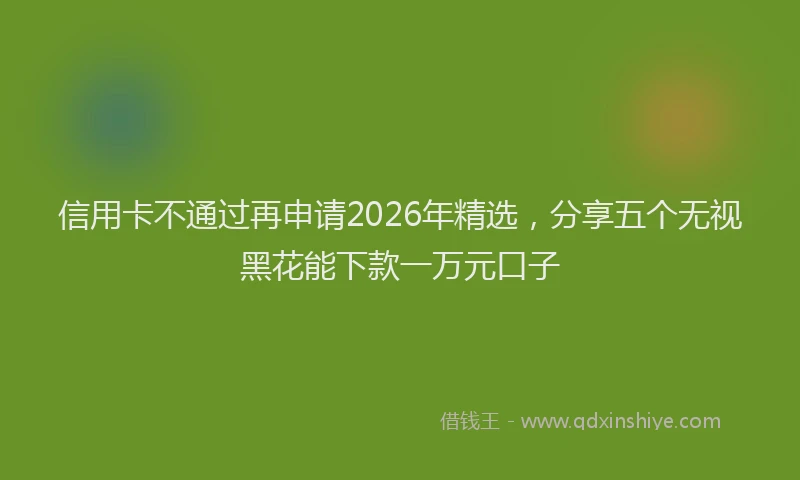 信用卡不通过再申请2026年精选，分享五个无视黑花能下款一万元口子