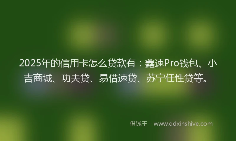 2025年的信用卡怎么贷款有：鑫速Pro钱包、小吉商城、功夫贷、易借速贷、苏宁任性贷等。