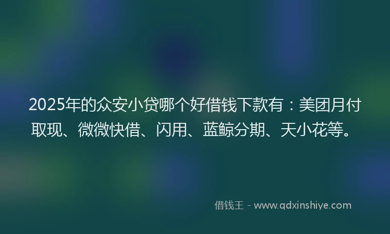 2025年的众安小贷哪个好借钱下款有：美团月付取现、微微快借、闪用、蓝鲸分期、天小花等。