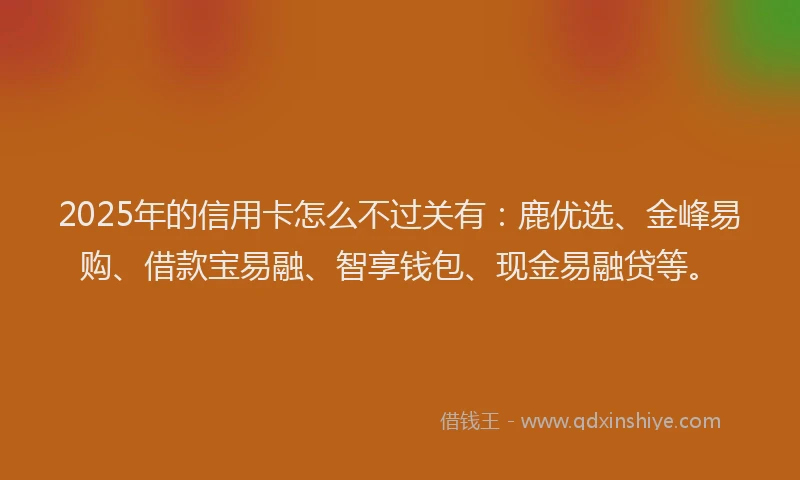 2025年的信用卡怎么不过关有：鹿优选、金峰易购、借款宝易融、智享钱包、现金易融贷等。