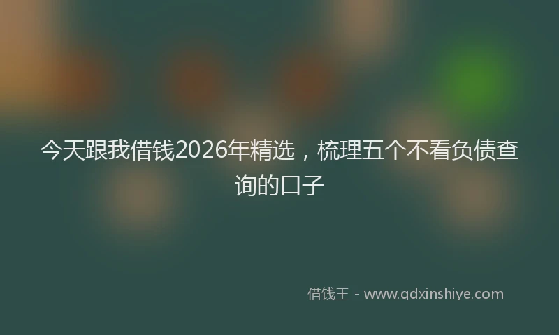 今天跟我借钱2026年精选，梳理五个不看负债查询的口子