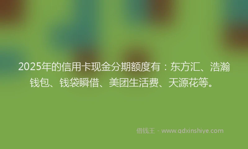 2025年的信用卡现金分期额度有：东方汇、浩瀚钱包、钱袋瞬借、美团生活费、天源花等。