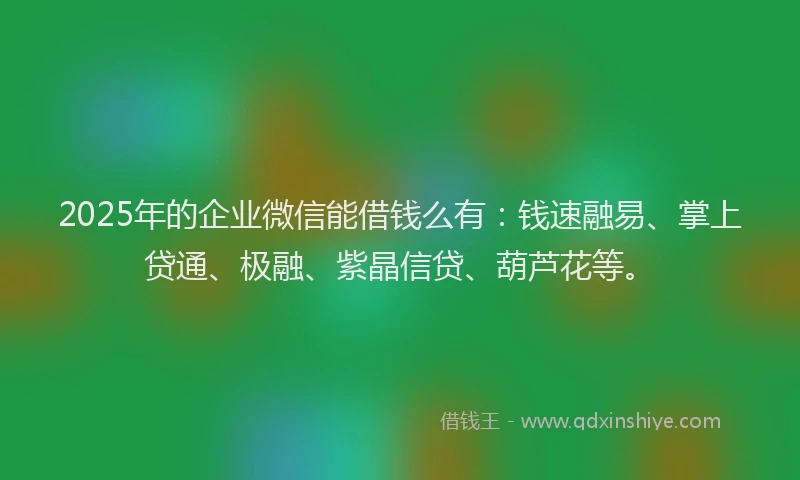 2025年的企业微信能借钱么有：钱速融易、掌上贷通、极融、紫晶信贷、葫芦花等。