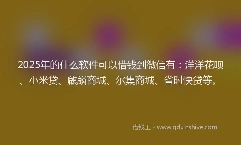 2025年的什么软件可以借钱到微信有：洋洋花呗、小米贷、麒麟商城、尔集商城、省时快贷等。