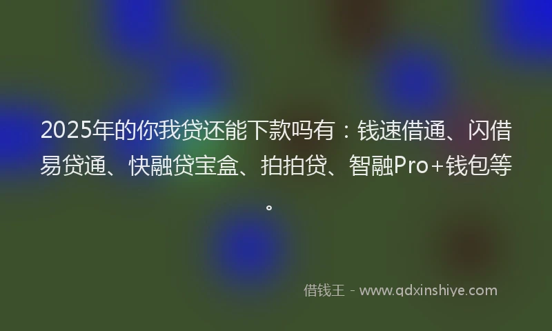 2025年的你我贷还能下款吗有：钱速借通、闪借易贷通、快融贷宝盒、拍拍贷、智融Pro+钱包等。