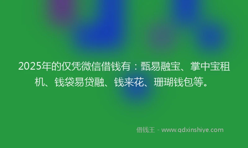 2025年的仅凭微信借钱有:甄易融宝、掌中宝租机、钱袋易贷融、钱来花、珊瑚钱包等。