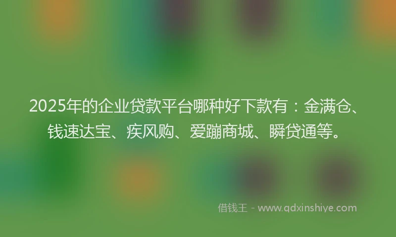 2025年的企业贷款平台哪种好下款有：金满仓、钱速达宝、疾风购、爱蹦商城、瞬贷通等。