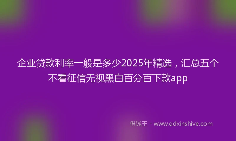 企业贷款利率一般是多少2025年精选，汇总五个不看征信无视黑白百分百下款app