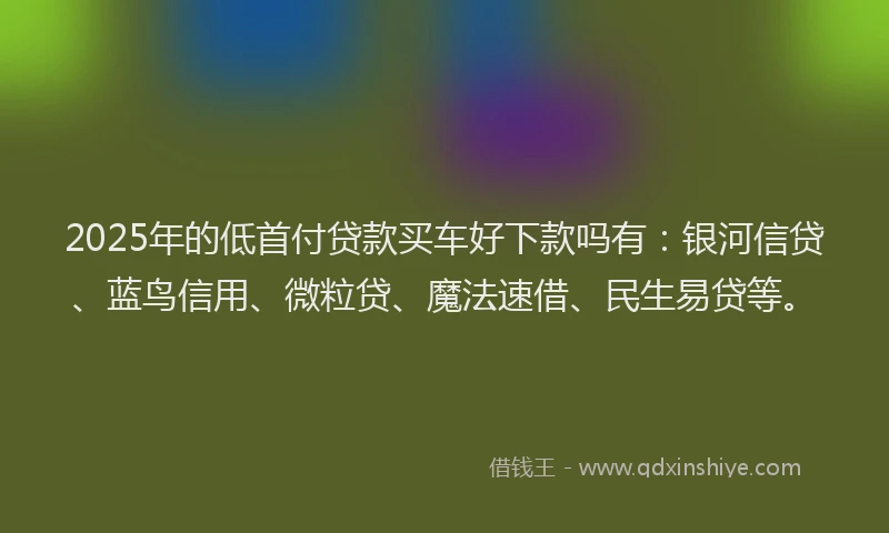 2025年的低首付贷款买车好下款吗有:银河信贷、蓝鸟信用、微粒贷、魔法速借、民生易贷等。