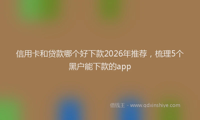 信用卡和贷款哪个好下款2026年推荐，梳理5个黑户能下款的app