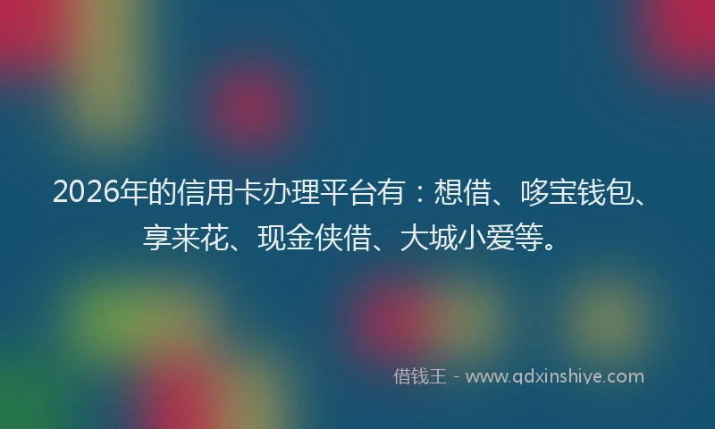 2026年的信用卡办理平台有：想借、哆宝钱包、享来花、现金侠借、大城小爱等。
