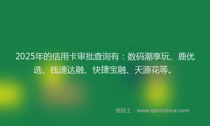 2025年的信用卡审批查询有：数码潮享玩、鹿优选、钱速达融、快捷宝融、天源花等。