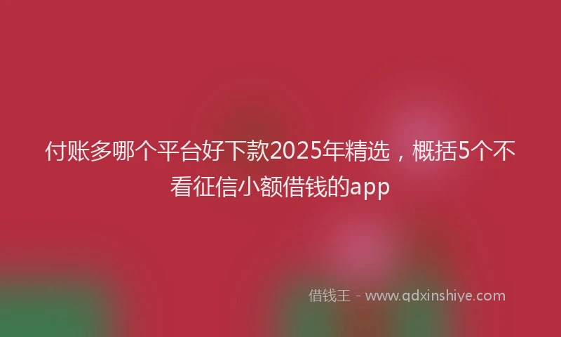 付账多哪个平台好下款2025年精选，概括5个不看征信小额借钱的app