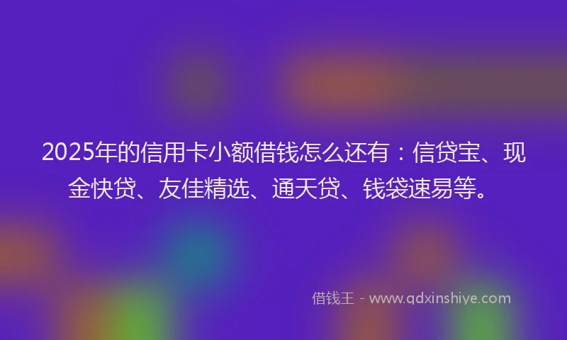 2025年的信用卡小额借钱怎么还有:信贷宝、现金快贷、友佳精选、通天贷、钱袋速易等。