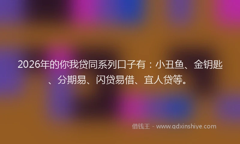 2026年的你我贷同系列口子有：小丑鱼、金钥匙、分期易、闪贷易借、宜人贷等。