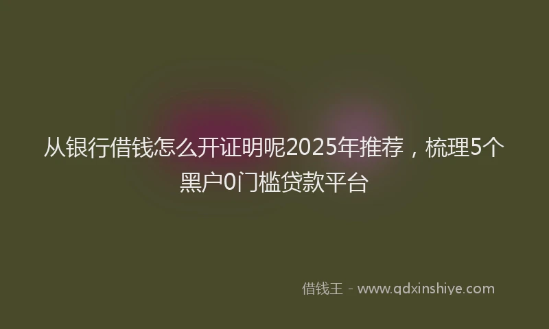 从银行借钱怎么开证明呢2025年推荐,梳理5个黑户0门槛贷款平台