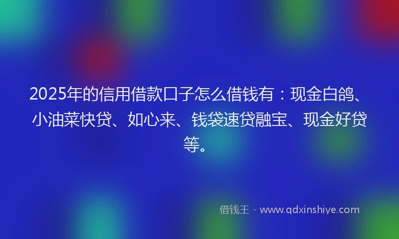 2025年的信用借款口子怎么借钱有：现金白鸽、小油菜快贷、如心来、钱袋速贷融宝、现金好贷等。
