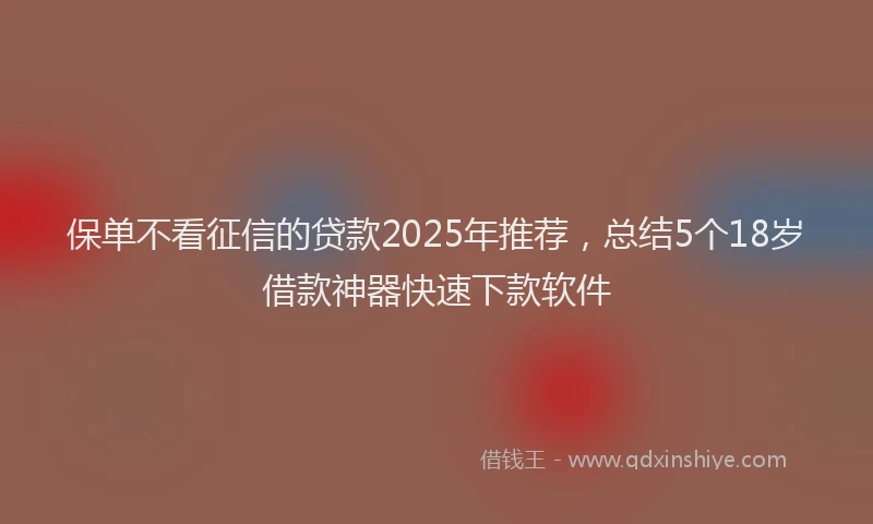 保单不看征信的贷款2025年推荐,总结5个18岁借款神器快速下款软件