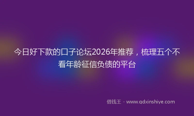 今日好下款的口子论坛2026年推荐，梳理五个不看年龄征信负债的平台