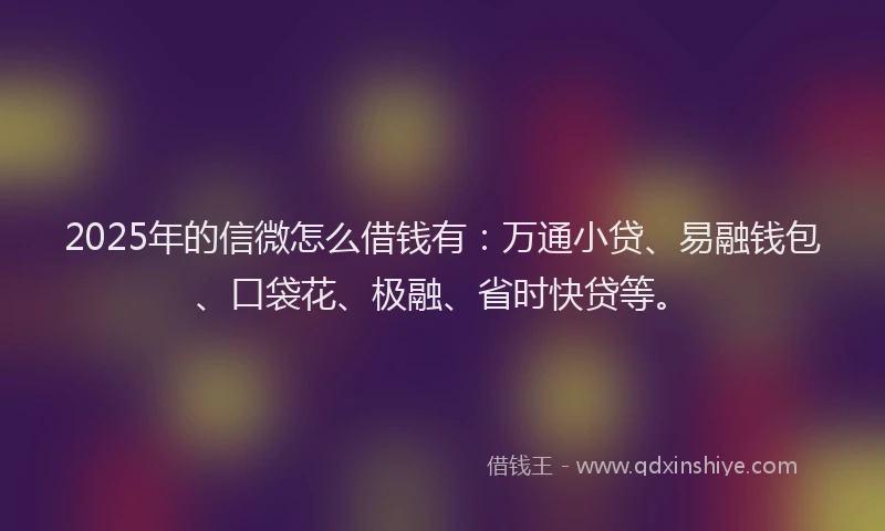 2025年的信微怎么借钱有：万通小贷、易融钱包、口袋花、极融、省时快贷等。