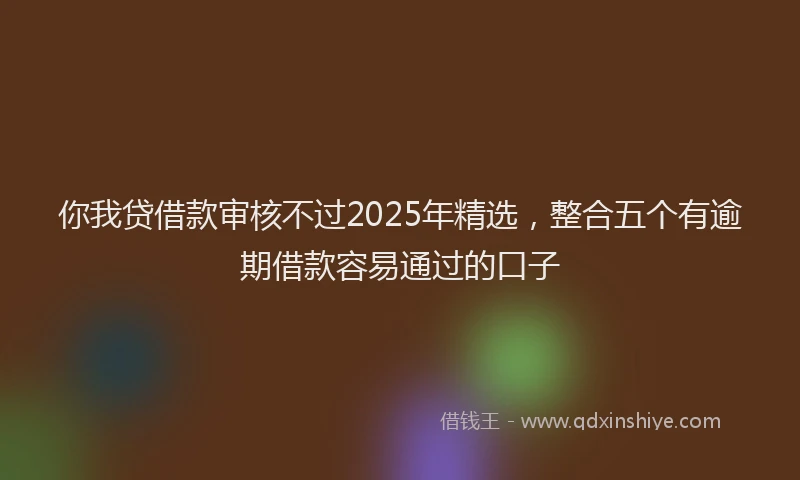 你我贷借款审核不过2025年精选，整合五个有逾期借款容易通过的口子