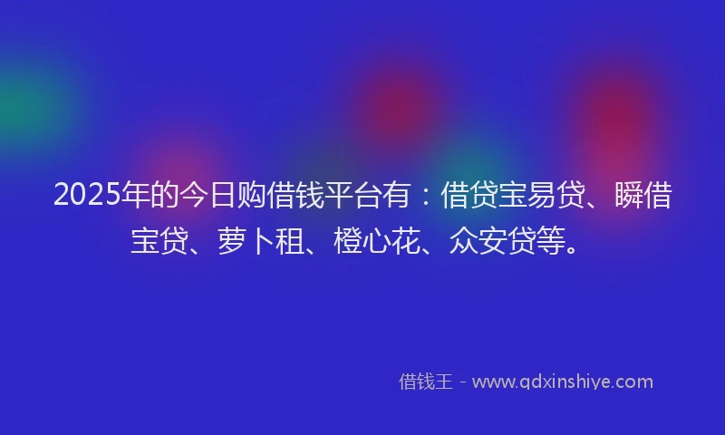 2025年的今日购借钱平台有：借贷宝易贷、瞬借宝贷、萝卜租、橙心花、众安贷等。