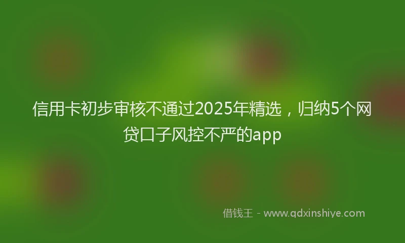 信用卡初步审核不通过2025年精选,归纳5个网贷口子风控不严的app