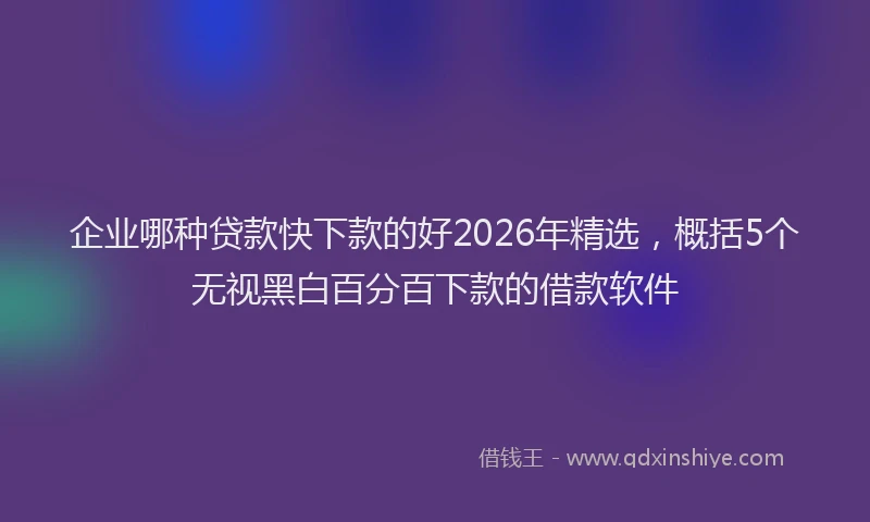 企业哪种贷款快下款的好2026年精选，概括5个无视黑白百分百下款的借款软件