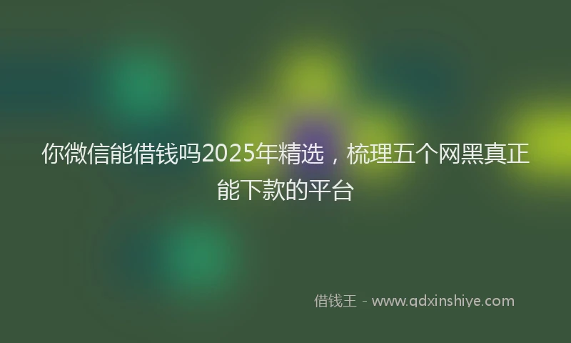 你微信能借钱吗2025年精选，梳理五个网黑真正能下款的平台