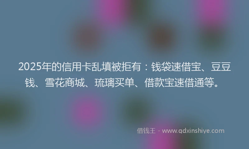 2025年的信用卡乱填被拒有：钱袋速借宝、豆豆钱、雪花商城、琉璃买单、借款宝速借通等。