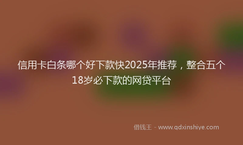 信用卡白条哪个好下款快2025年推荐,整合五个18岁必下款的网贷平台