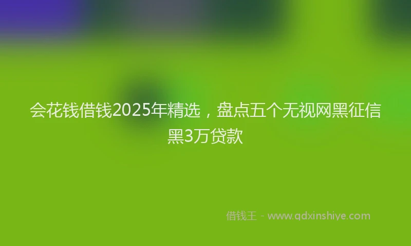 会花钱借钱2025年精选，盘点五个无视网黑征信黑3万贷款