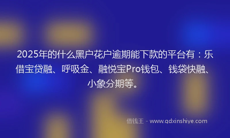 2025年的什么黑户花户逾期能下款的平台有：乐借宝贷融、呼吸金、融悦宝Pro钱包、钱袋快融、小象分期等。