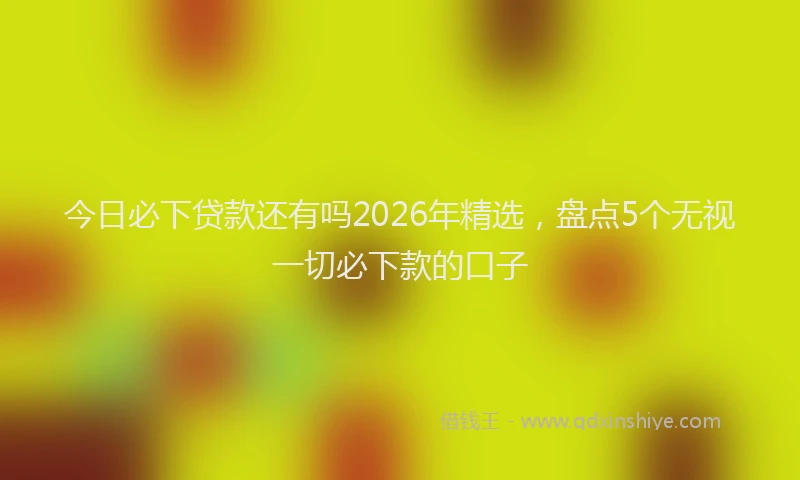今日必下贷款还有吗2026年精选，盘点5个无视一切必下款的口子