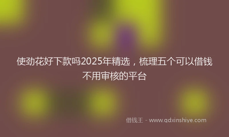 使劲花好下款吗2025年精选，梳理五个可以借钱不用审核的平台