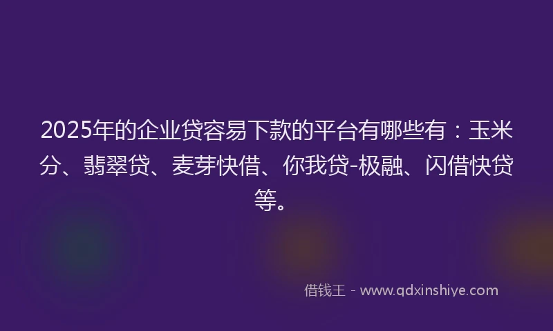 2025年的企业贷容易下款的平台有哪些有：玉米分、翡翠贷、麦芽快借、你我贷-极融、闪借快贷等。