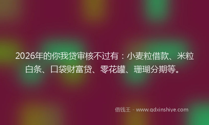 2026年的你我贷审核不过有：小麦粒借款、米粒白条、口袋财富贷、零花罐、珊瑚分期等。