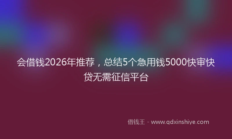 会借钱2026年推荐,总结5个急用钱5000快审快贷无需征信平台