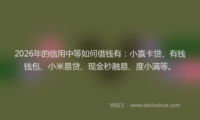 2026年的信用中等如何借钱有：小赢卡贷、有钱钱包、小米易贷、现金秒融易、度小满等。