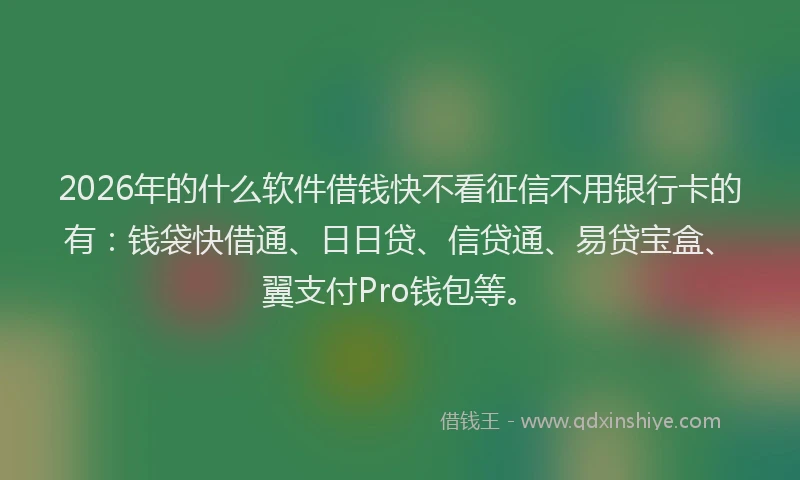 2026年的什么软件借钱快不看征信不用银行卡的有：钱袋快借通、日日贷、信贷通、易贷宝盒、翼支付Pro钱包等。