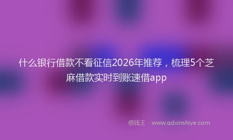 什么银行借款不看征信2026年推荐，梳理5个芝麻借款实时到账速借app