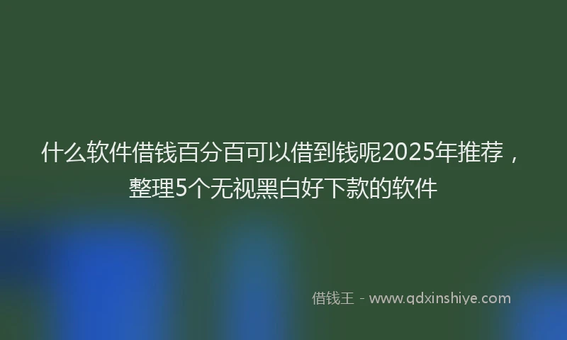什么软件借钱百分百可以借到钱呢2025年推荐，整理5个无视黑白好下款的软件