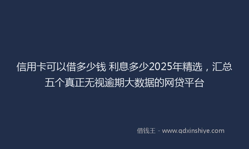 信用卡可以借多少钱 利息多少2025年精选，汇总五个真正无视逾期大数据的网贷平台
